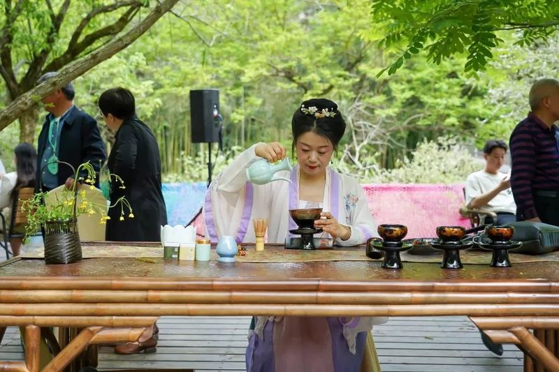 关于 杭州临安第十一届茶俗文化旅游节成功举办的消息(18)