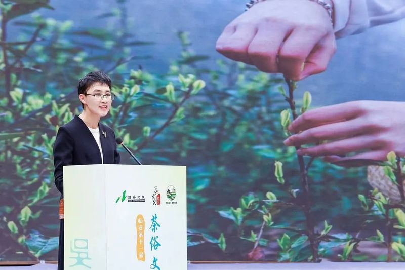 关于 杭州临安第十一届茶俗文化旅游节成功举办的消息(4)