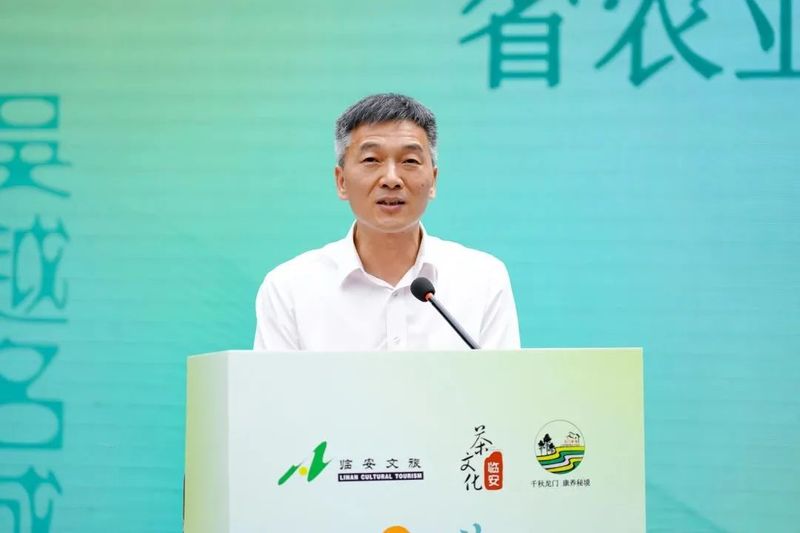 关于 杭州临安第十一届茶俗文化旅游节成功举办的消息(3)