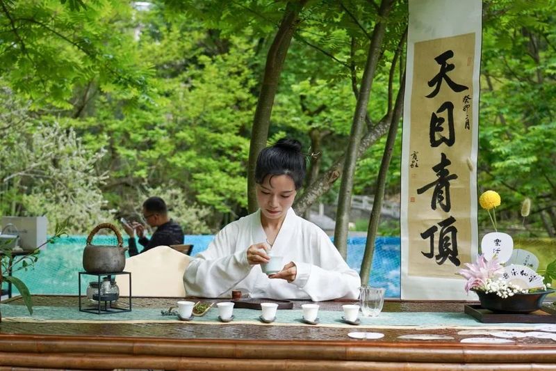 关于 杭州临安第十一届茶俗文化旅游节成功举办的消息(20)