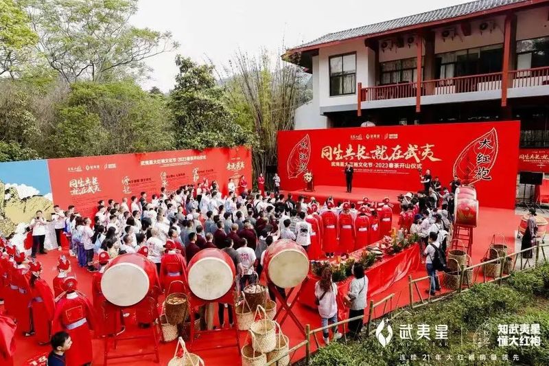 有关于武夷山春茶全面进入采摘阶段的信息(1)