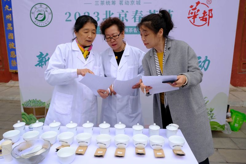 关于打卡了产区，别忘了销区！北京买春茶往这儿看！的相关内容(7)