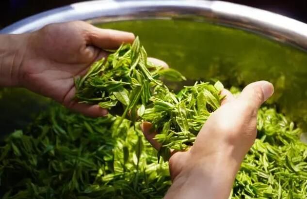 有关于聚焦七星关区茶产业发展助力乡村振兴的相关内容(1)