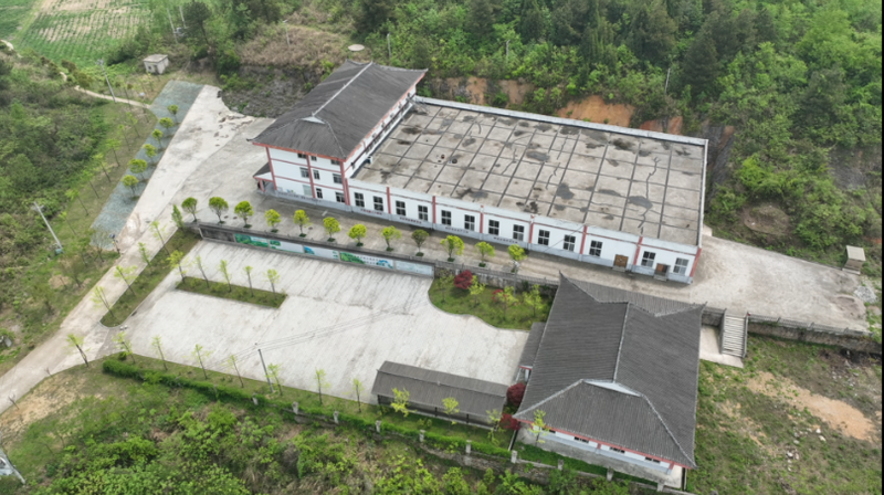 关于开阳县毛云乡：“小茶叶”成就富民“大产业”的相关信息(7)