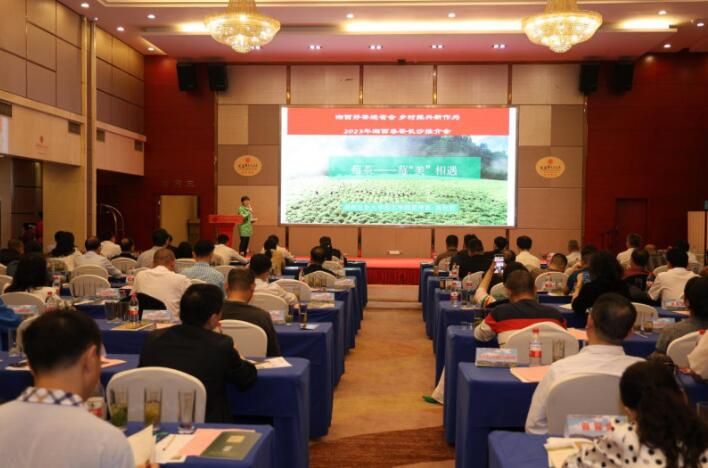 有关于2023年湘西春茶长沙推介会圆满落幕的最新消息(1)