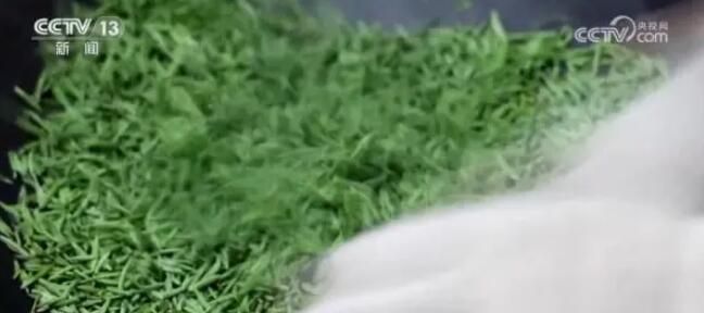 关于新式茶饮兴起 春茶“绿”变“红” 迎来发展新机遇的新闻(3)