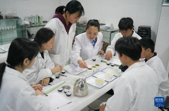 关于陕西紫阳县 课堂开在茶山上的内容(5)