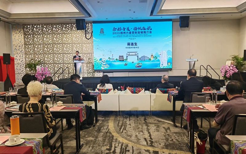 有关于续写茶船古道新篇章 掀起经贸合作新热潮，蒋连生率梧州市经贸代表团及部分企业出访新加坡的新闻(1)