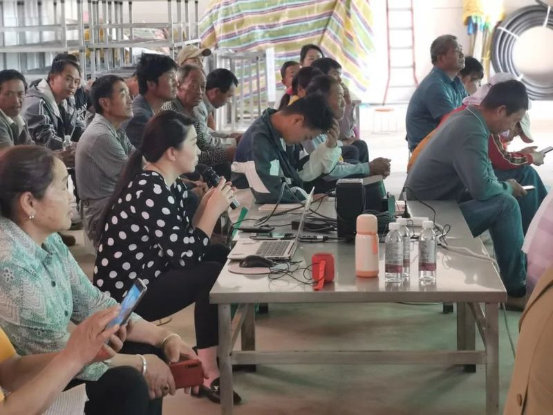 有关于宜良：农业专家科技下乡 助推茶产业发展的内容(1)