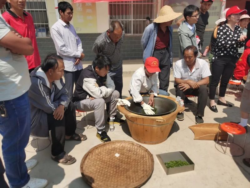 有关于宜良：农业专家科技下乡 助推茶产业发展的内容(4)