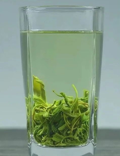 有关于云端上的茶园：勉县篇的相关信息(15)