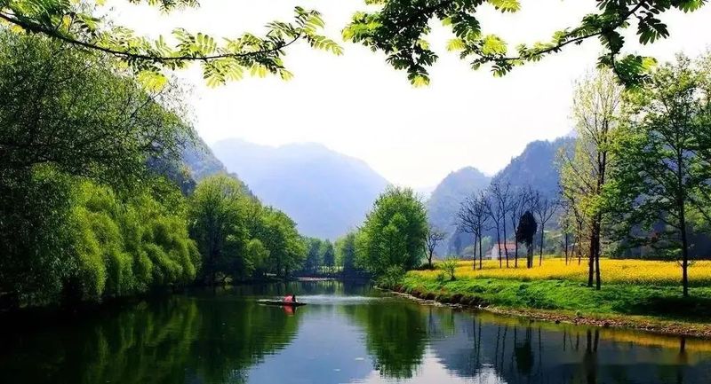 有关于云端上的茶园：勉县篇的相关信息(6)