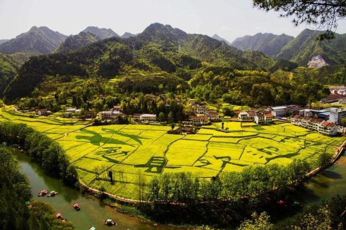 有关于云端上的茶园：勉县篇的相关信息(5)