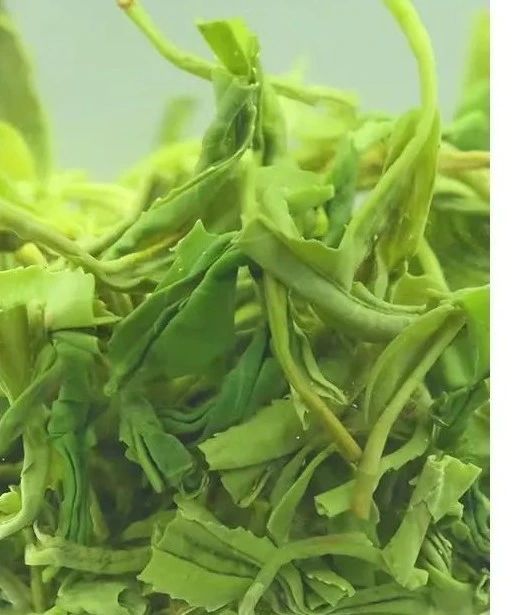 有关于云端上的茶园：勉县篇的相关信息(16)