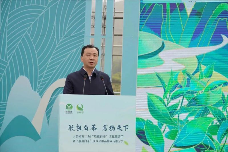 关于喝中国劲酒 品殷祖白茶 大冶为茶办节，吹响做强茶业号角的新闻(2)