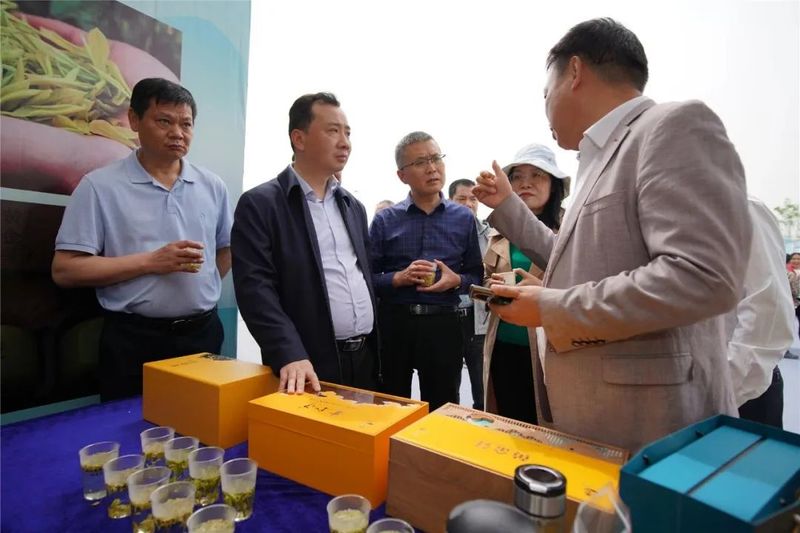 关于喝中国劲酒 品殷祖白茶 大冶为茶办节，吹响做强茶业号角的新闻(7)