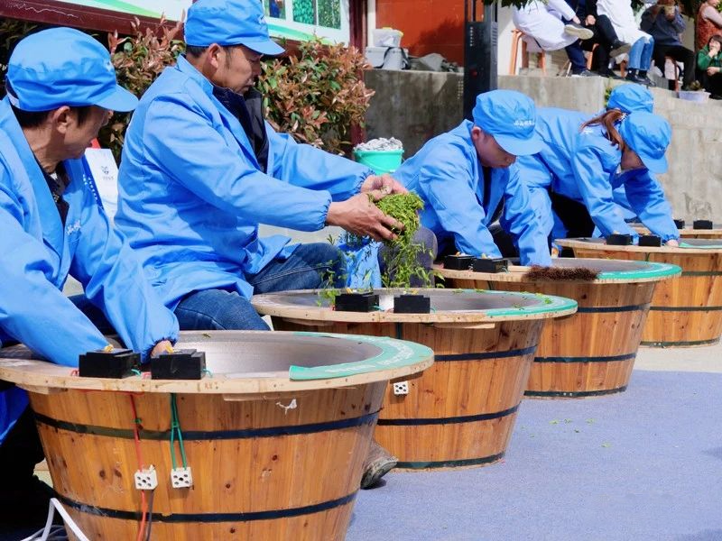 有关于紫阳县“春之茶”旅游季之知府巡游活动走进洞河的消息(2)