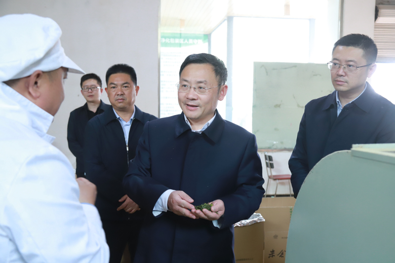 关于唐文辉调研茶产业发展工作的最新消息