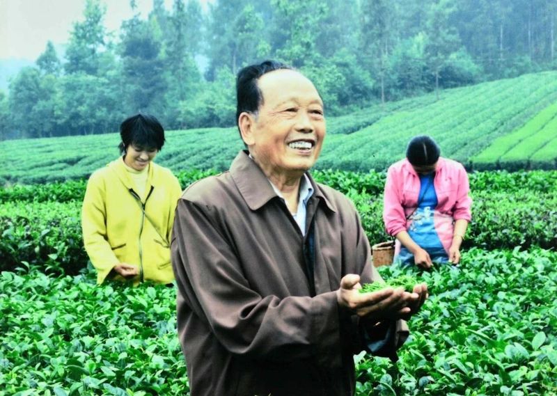 有关于追忆湄潭老茶农何殿伦支书的相关信息(1)