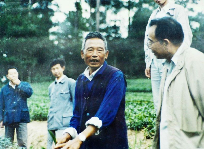 有关于追忆湄潭老茶农何殿伦支书的相关信息(5)