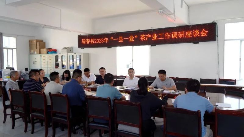 有关于何阳一行调研绿春县茶产业发展工作的新闻(1)