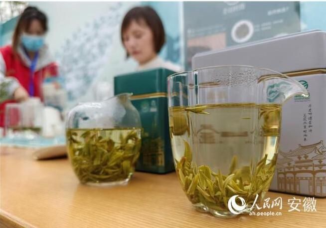 关于2023绩溪金山时雨茶文化节开幕的最新消息(3)