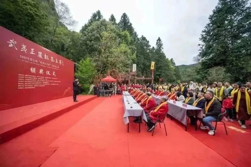 有关于武夷山青年茶人举办“喊山祭茶”民俗文化活动的资讯(12)