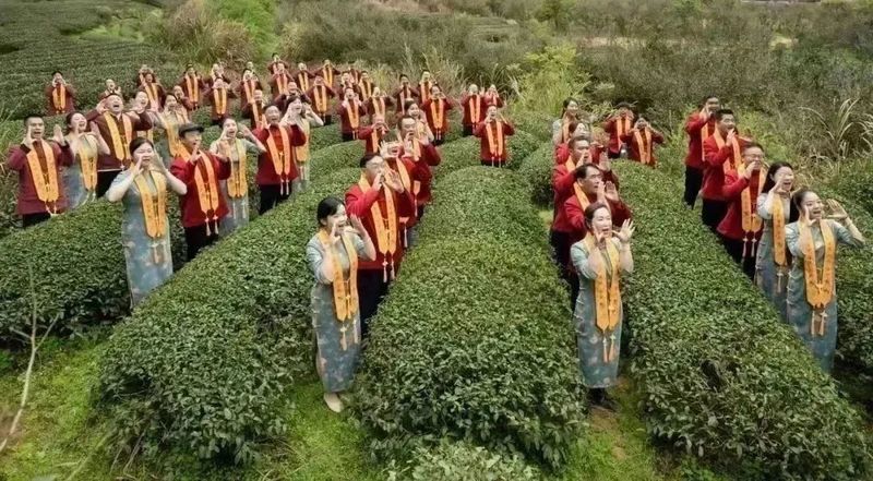 有关于武夷山青年茶人举办“喊山祭茶”民俗文化活动的资讯(5)