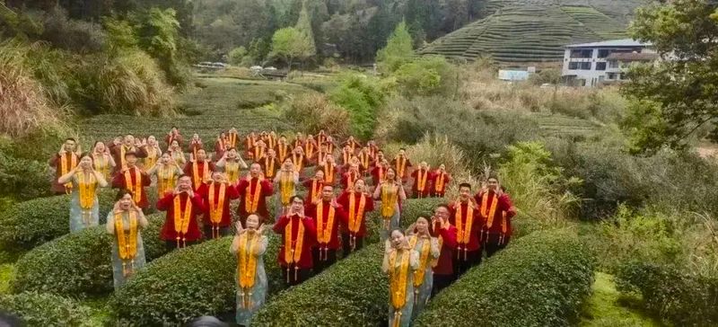 有关于武夷山青年茶人举办“喊山祭茶”民俗文化活动的资讯(11)