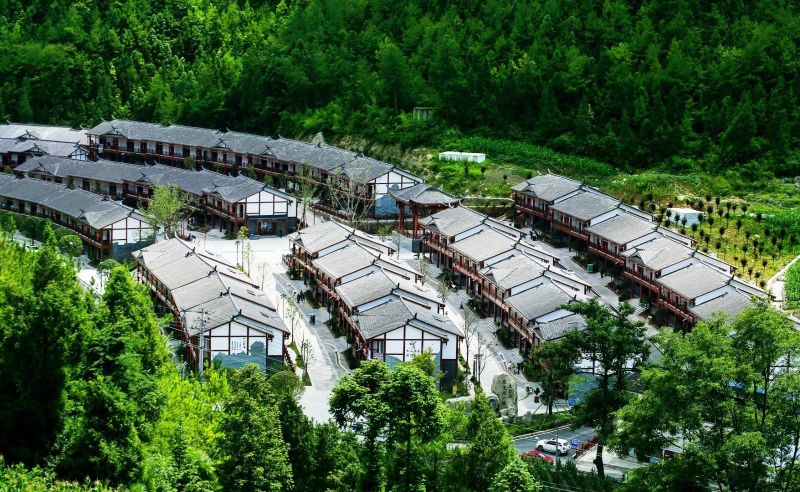 关于创建天府旅游名县，万源：做好茶旅融合富民文章，奏响乡村振兴和美乐章的消息(3)