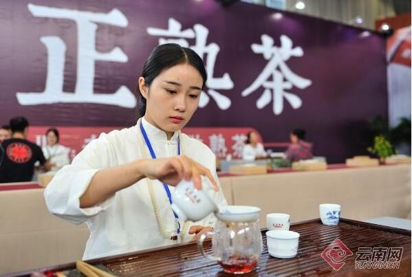 关于跑好普洱茶复兴路上的接力赛的内容(7)