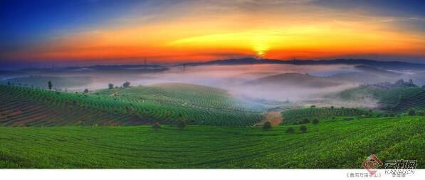 关于跑好普洱茶复兴路上的接力赛的内容