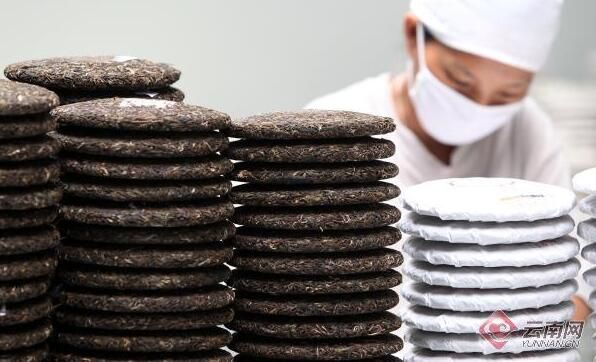 关于跑好普洱茶复兴路上的接力赛的内容(4)