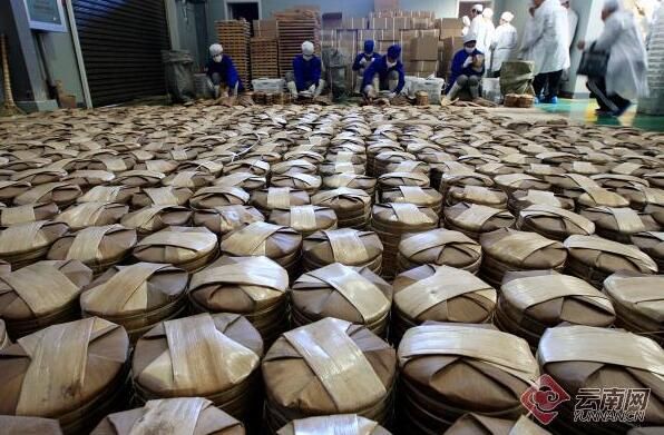 关于跑好普洱茶复兴路上的接力赛的内容(3)