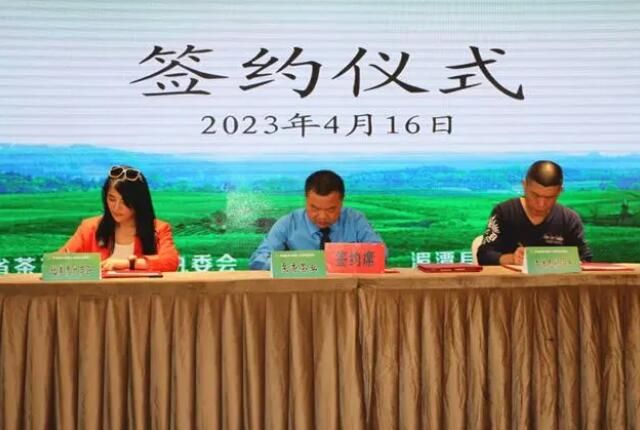 有关于贵州茶叶出口发展论坛在贵州湄潭举行的资讯(3)