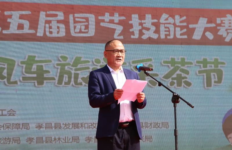 关于孝昌50名采茶能手打擂台 上演“指尖争霸”的新闻(6)