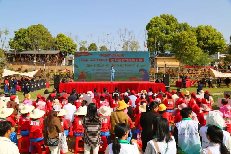 关于孝昌50名采茶能手打擂台 上演“指尖争霸”的新闻(1)