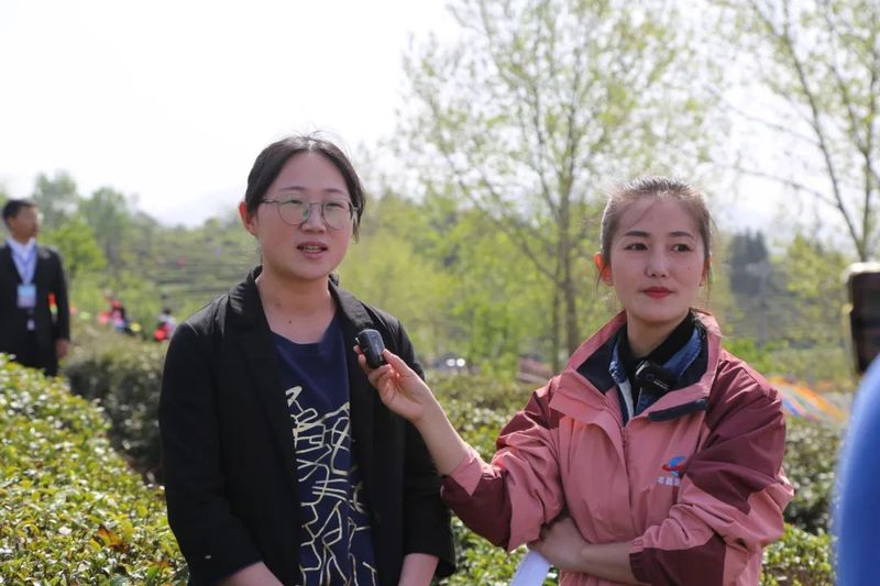 关于孝昌50名采茶能手打擂台 上演“指尖争霸”的新闻(24)