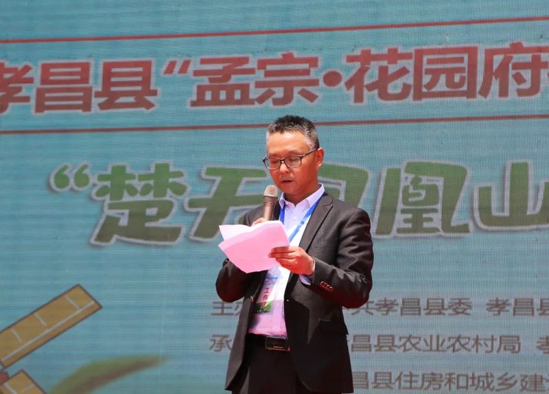 关于孝昌50名采茶能手打擂台 上演“指尖争霸”的新闻(8)