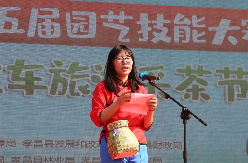 关于孝昌50名采茶能手打擂台 上演“指尖争霸”的新闻(5)