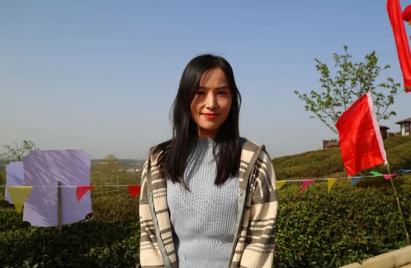 关于孝昌50名采茶能手打擂台 上演“指尖争霸”的新闻(14)