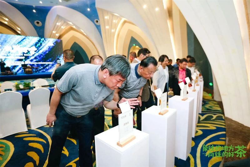 有关于意向采购订单超3600万元！2023年西双版纳普洱茶交易会圆满落幕的相关内容(22)