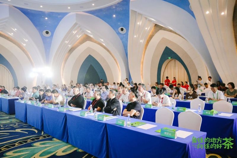 有关于意向采购订单超3600万元！2023年西双版纳普洱茶交易会圆满落幕的相关内容(19)