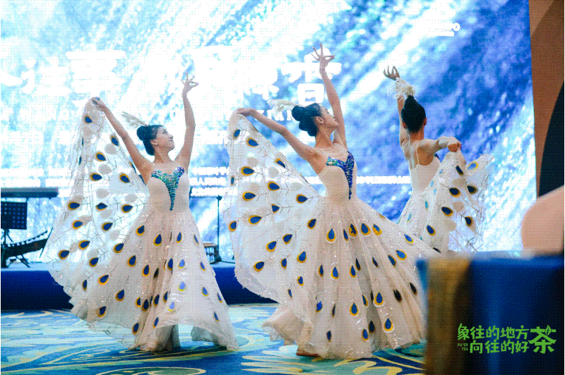 有关于意向采购订单超3600万元！2023年西双版纳普洱茶交易会圆满落幕的相关内容(21)