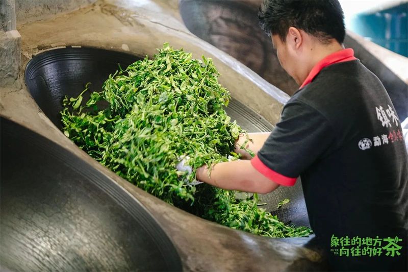 有关于意向采购订单超3600万元！2023年西双版纳普洱茶交易会圆满落幕的相关内容(17)