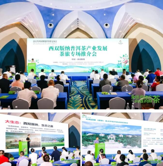 有关于意向采购订单超3600万元！2023年西双版纳普洱茶交易会圆满落幕的相关内容(15)