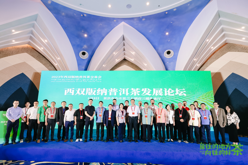 有关于意向采购订单超3600万元！2023年西双版纳普洱茶交易会圆满落幕的相关内容(20)