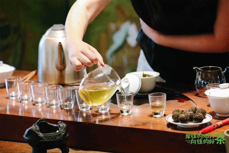 有关于意向采购订单超3600万元！2023年西双版纳普洱茶交易会圆满落幕的相关内容(18)