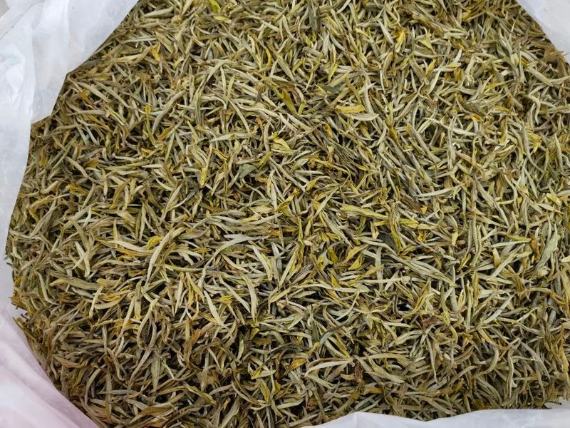 有关于墨江：春茶销售迎来小高峰 价格稳中有升的相关信息(6)