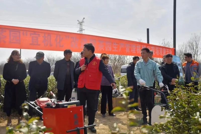 有关于镇江：加速茶园“宜机化”改造 助力茶产业提质增效的消息(1)